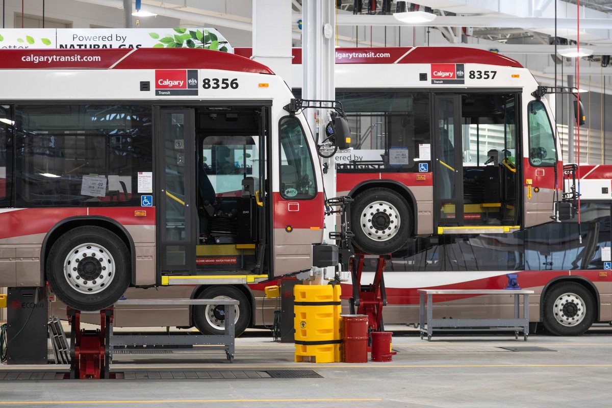 Calgary Transit buses on lifts in shop
