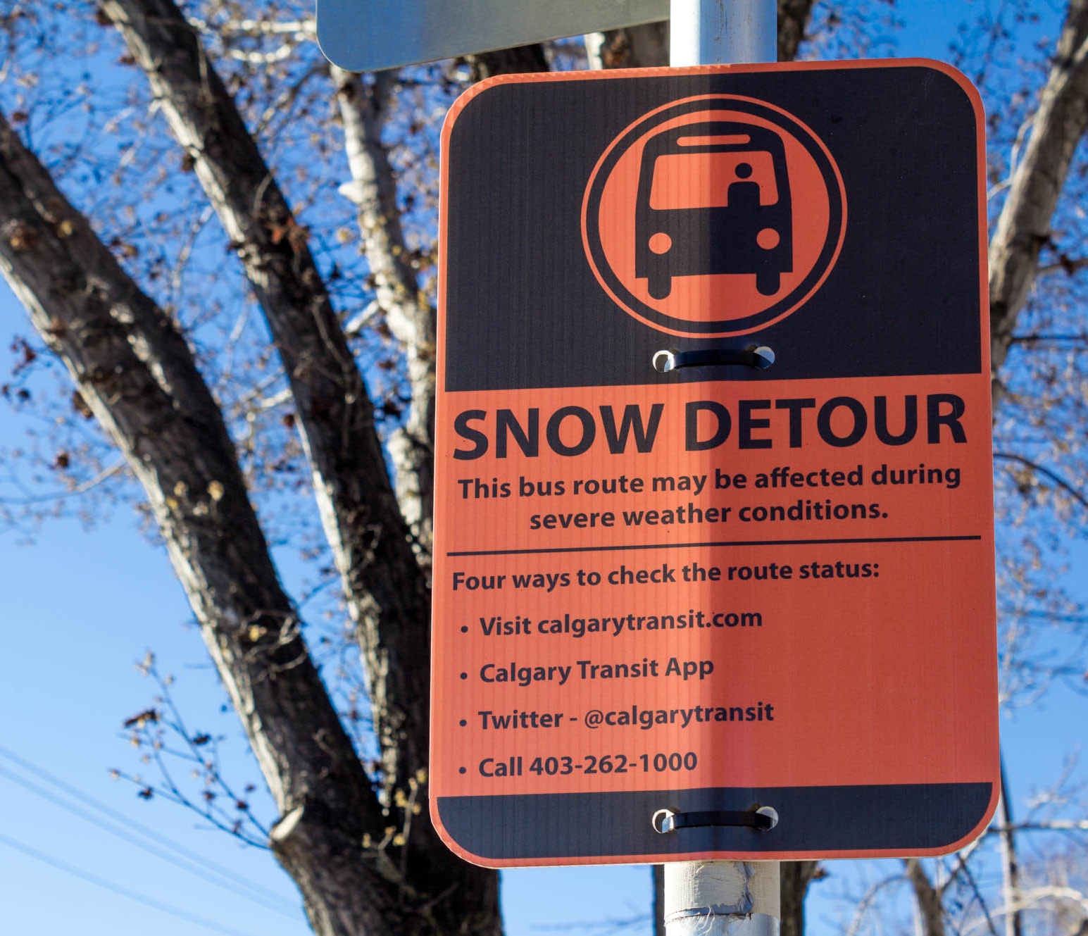Snow detour bus zone sign